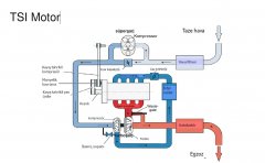 TSI Motor