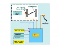 Gaz kelebeği ayarlayıcı sistemi