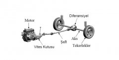 Hareket Aktarma Organları