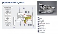 Şanzımanın Parçaları