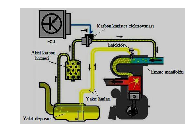 Karbon kanister elektrovanası